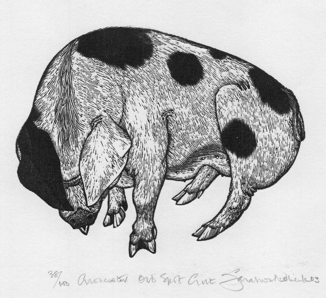 Gloucester Old Spot Gilt