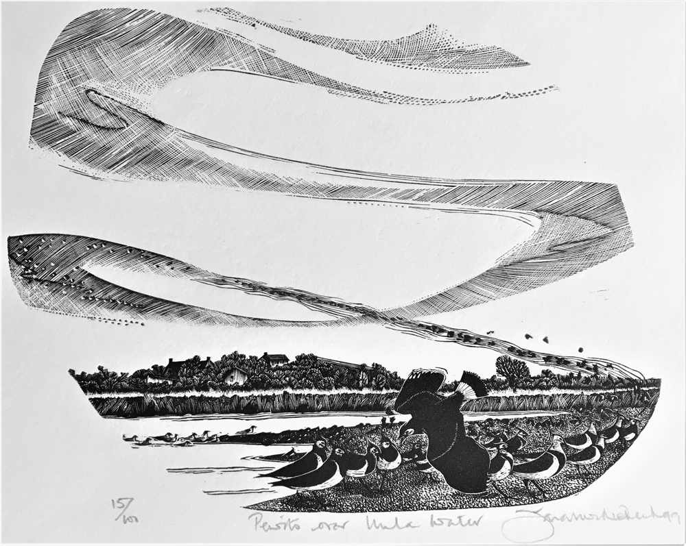 Pewits over Unla Water