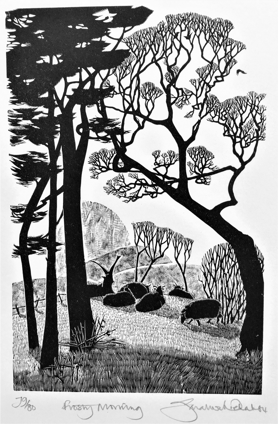 Frosty Morning, Wilcote