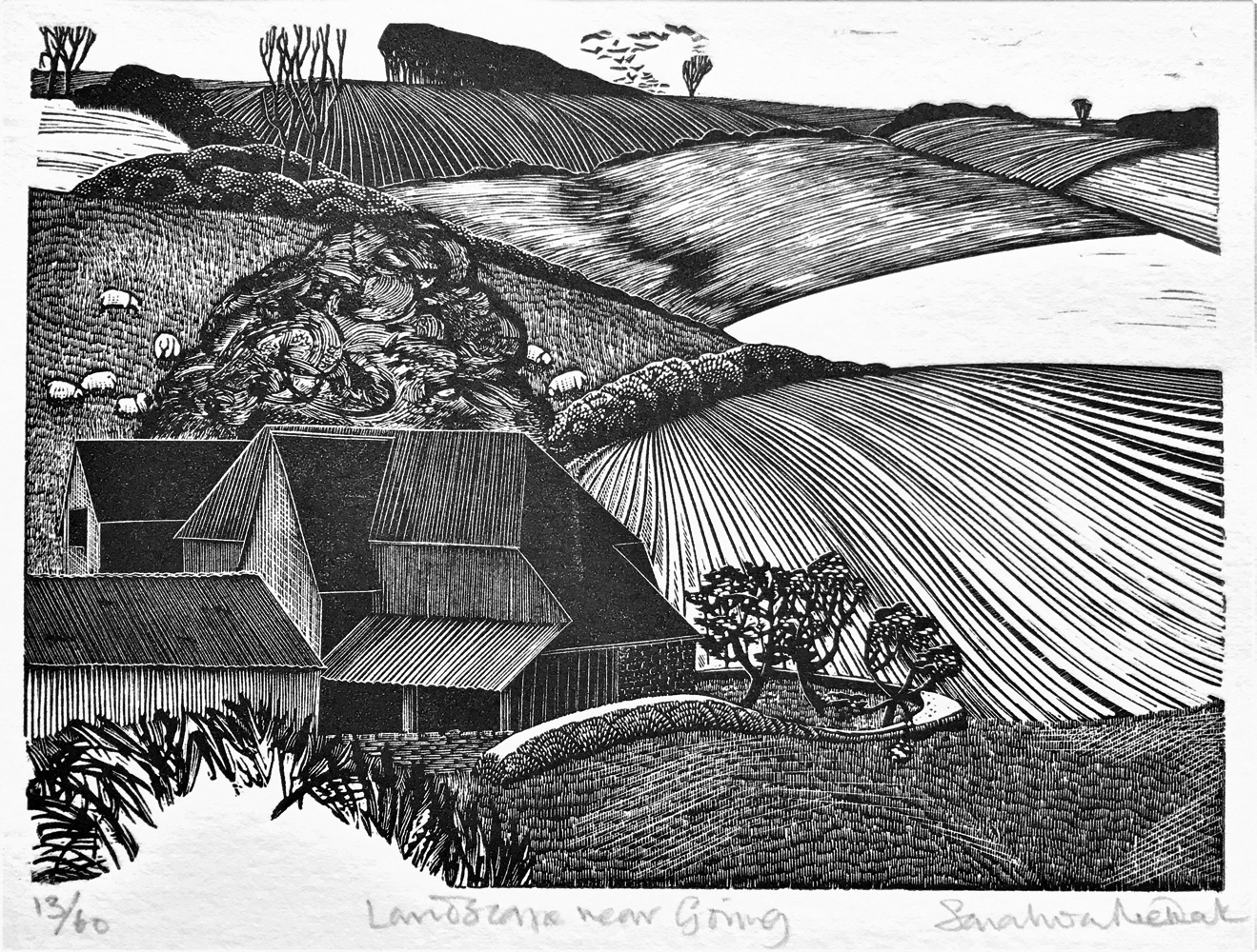 Landscape near Goring