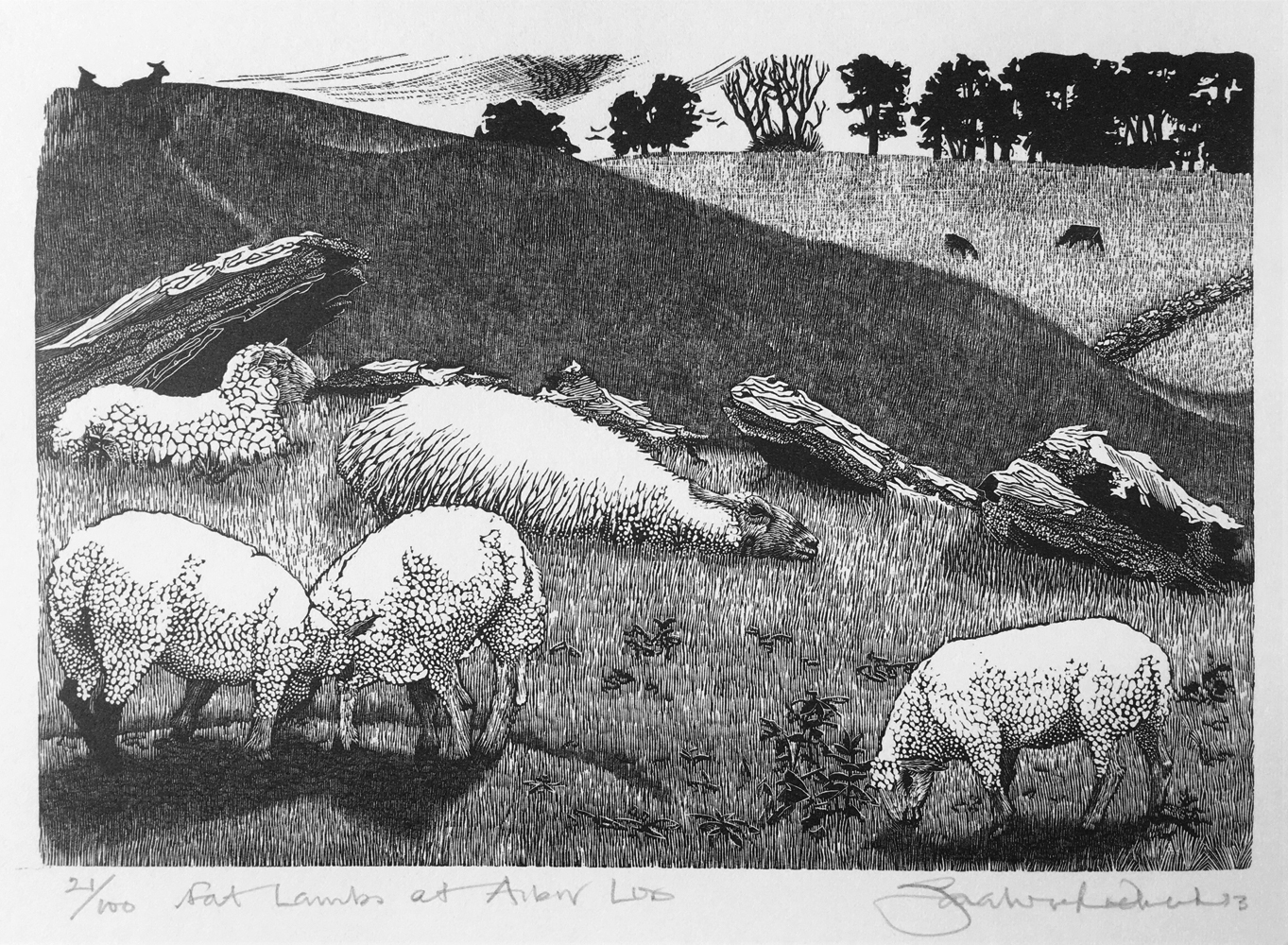 Fat Lambs at Arbour Low